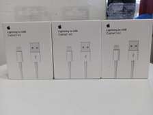 Apple Lightning To USB Cable 1 Metre
