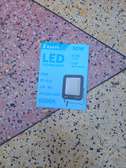 Ensave floodlight 30w