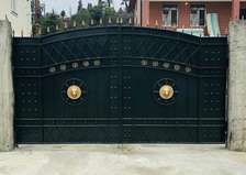 Double Swing Gate Black and Gold