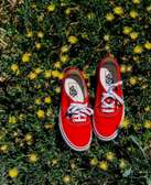 Red Off the Wall vans