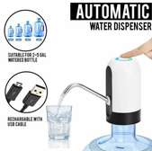 Rechargeable automatic water pump