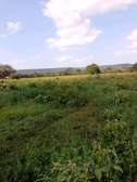 1500 acres along Athi-River for Long-term lease in kibwezi