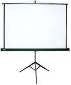 projection screen for hire