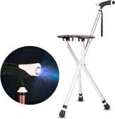 Walking Stick with Seat and Torch