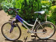 Newly Second-Hand Mountain Bike