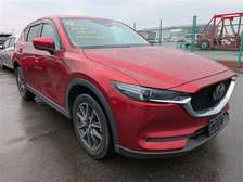 Foreigned used car for sale