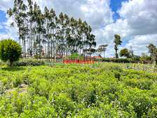 0.4 ha Land at Kamandura