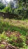 Land in Thindigua
