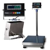 TCS-300 300kg Weighing Scale