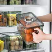 Refrigerator Storage Box Timekeeping Keep Fresh