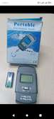 Portable electronic scale
