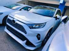 Toyota RAV4 white 2019 Sunroof