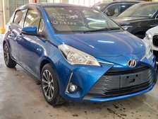 Toyota vitz  blue