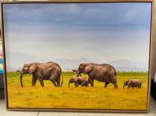Elephant canvas painting frame