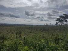 5 ac Land in Kitisuru