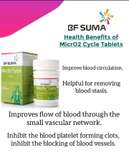 Micro2 (bf Suma)