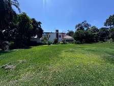 1 ac Commercial Property with Backup Generator in Gigiri