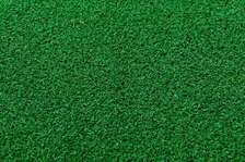 WALL TO WALL GRASS CARPET