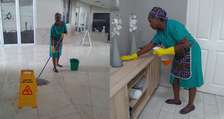 Best House Cleaning Professionals in Nairobi.Quality & Affordable Service 24/7