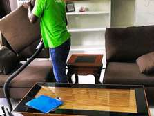 Professional cleaning services _ sofa, carpet,