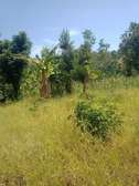 8.5 acres for sale nanyuki