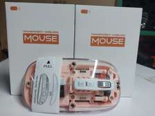 Transparent Wireless Multi Device Mouse, Type C charging