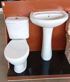 Sawa toilet seat