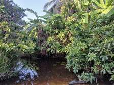 32 ac Land in Kwale County