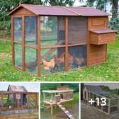 Sunrise egg farm