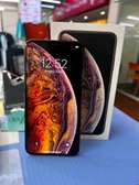 Apple Iphone Xs Max • Gold 512Gigabytes  • With Earpods