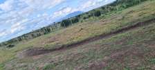 50*100 prime plots for sale in Ruiru East; Mwalimu Farm