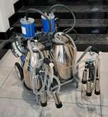 Double bucket milking machine