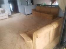 Sofa Cleaning Services in Savannah