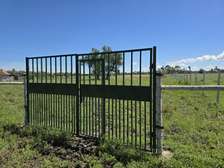 30,000 m² Residential Land at Aistrip