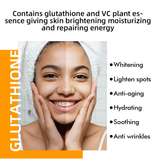 Erlian Bio Gluta-C 6 in 1 Set Whitening Skin Care Kit