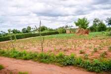 100 by 100 ft plot in Omega Estate Kibwezi Makueni County