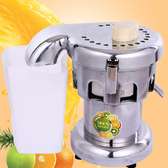 Automatic Commercial Fruit Juice Extractor Machine