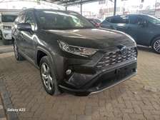 TOYOTA RAV4 HYBRID 2019 MODEL