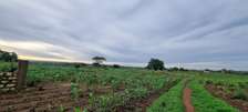 5 ac Land at Vipingo