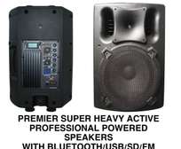 Heavy Powered 10" Bluetooth Speakers.