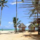 Makuti Roofing Expert Durable Eco-Friendly Shelter