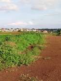 0.125 ac Commercial Land at Ruiru - Mugutha ( Kabogo) Road