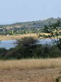 86 Acres Touching Masinga Dam Is Available For Sale