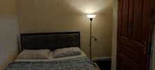 Led light lamp