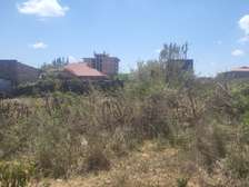 Residential Land in Narok