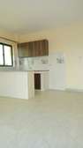 1 Bed Apartment in Thindigua