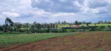 Prime plots in Nakuru