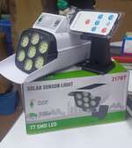 Motion Solar light sensor.