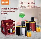 Raf juicer extractor 1000w