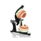 Dental articulator price for sale in kenya